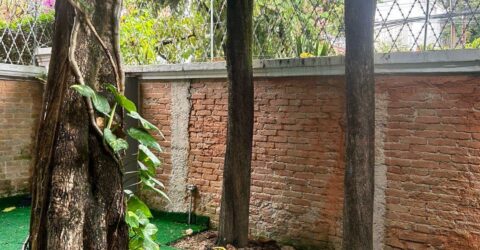 WhatsApp Image 2025-11-18 at 08.39.27 (1)